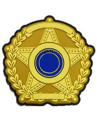 pvc-sheriffs-badge-standard-2