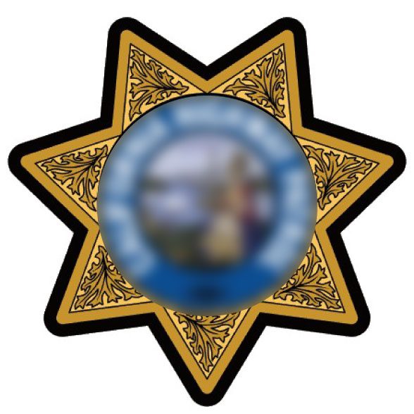 pvc SHERIFF BADGE 7